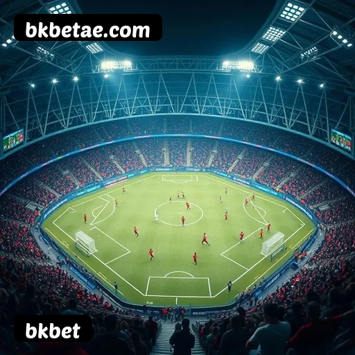 Suporte 24 horas bkbet