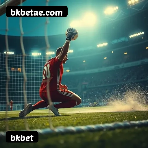 Níveis do programa VIP da bkbet